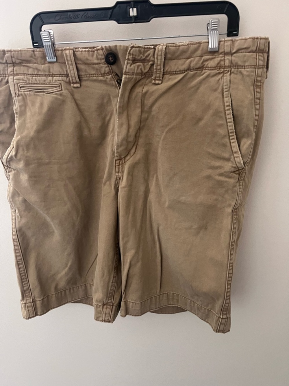 American Eagle Outfitters Khaki Flat-Front Shorts